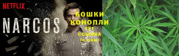 спайс Белокуриха