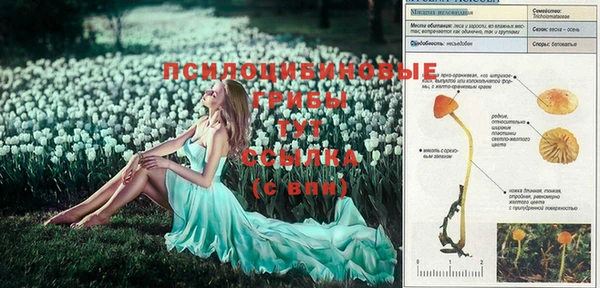 спайс Белокуриха