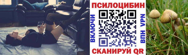 Купить  Новозыбков  Галлюциногенные грибы Psilocybe 