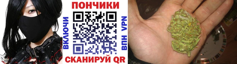 Купить закладки  Новозыбков  Каннабис Bruce Banner 
